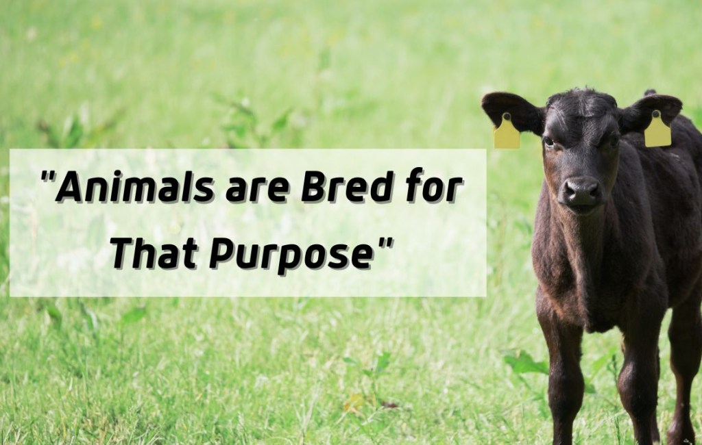 “Animals Are Bred for that&nbsp;Purpose”