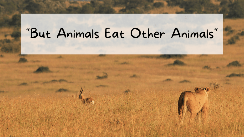 “But Animals Eat Other Animals”
