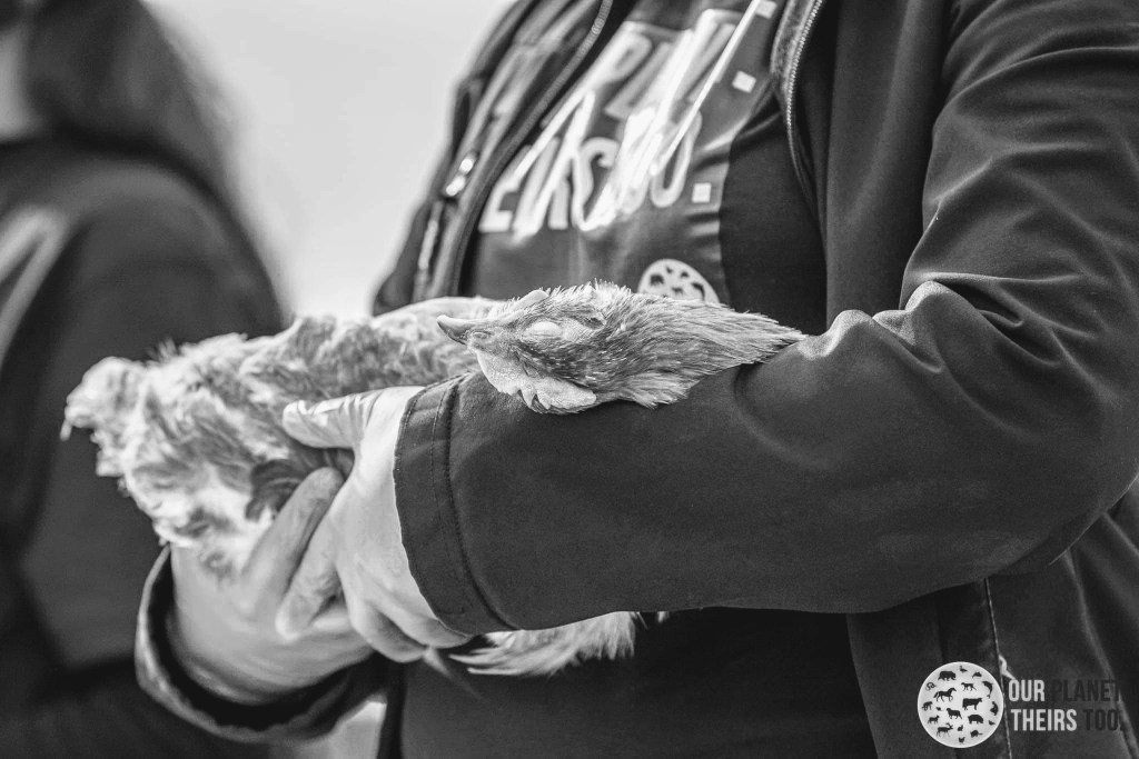 “You Are Not Alone” ~ Poem by Aylam&nbsp;Orian