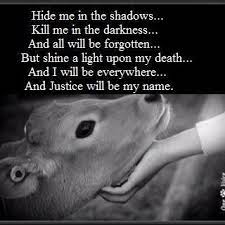 Powerful Animal Rights Quotes & Phrases