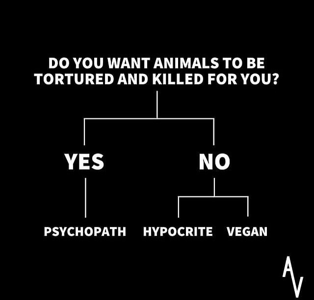 Do You Want Animals To Be Killed For&nbsp;You?