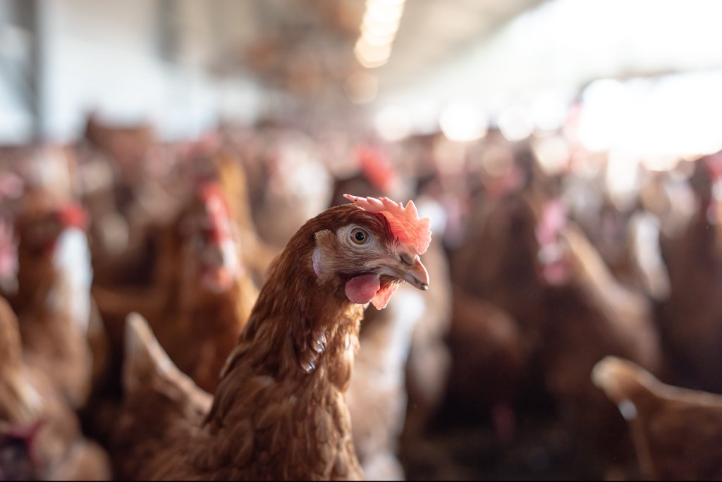 Eighteen Months of&nbsp;Hell