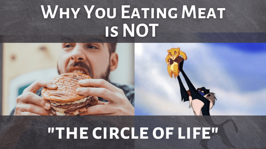 Why Humans Eating Meat is Not “The Circle of&nbsp;Life”