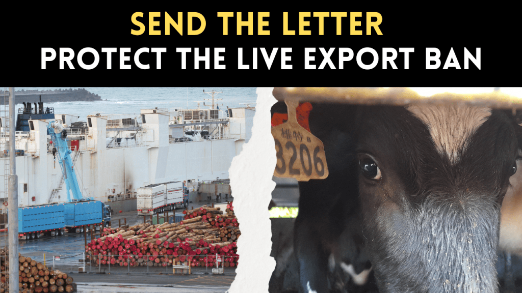 Help Stop Live&nbsp;Export